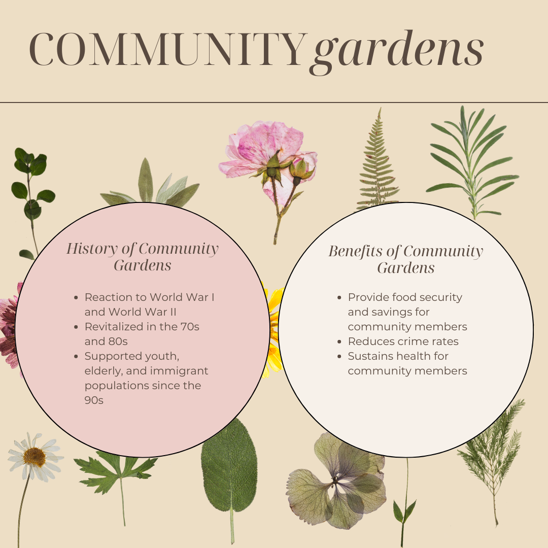 An infographic on the history and benefits of community gardens