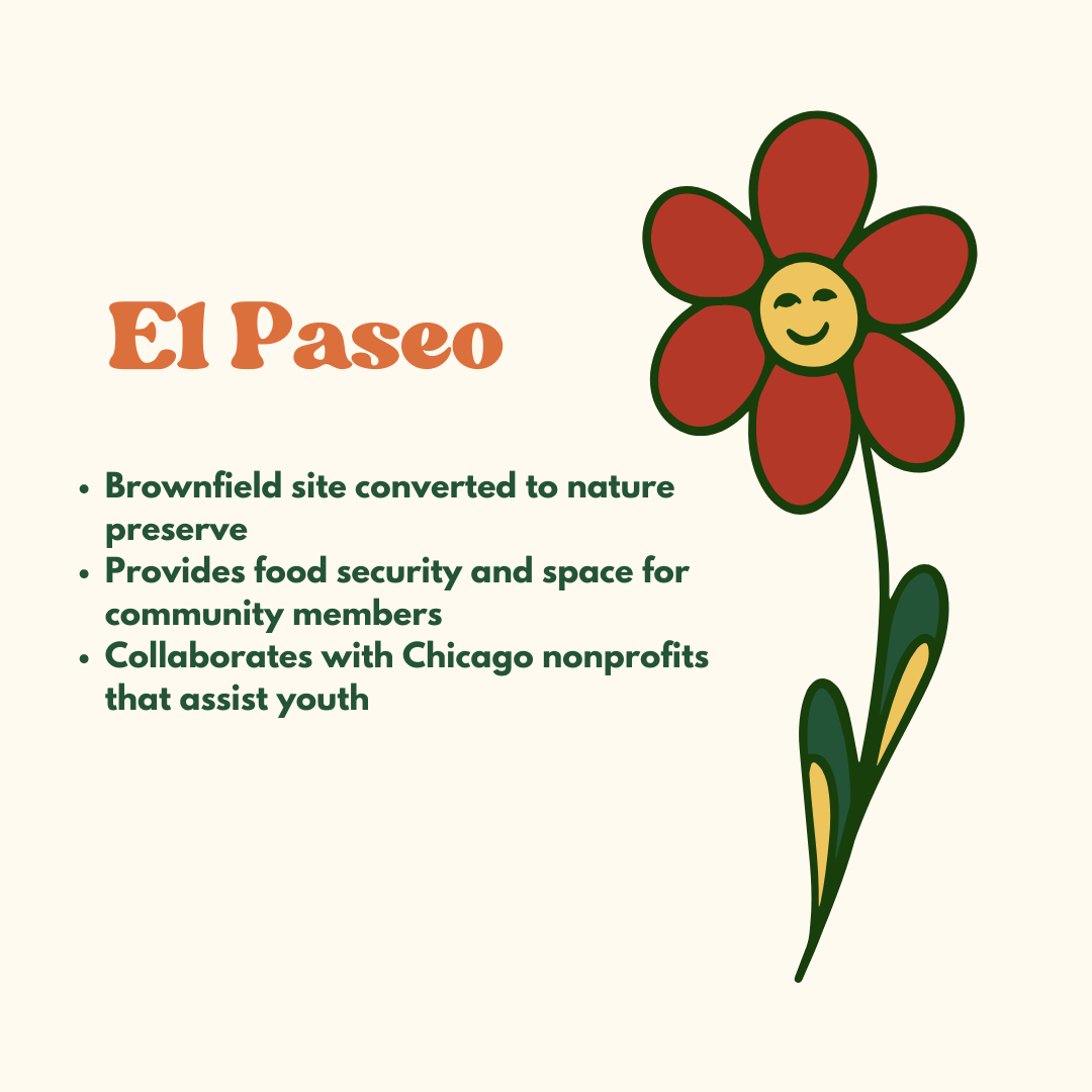 An infographic about the community garden El Paseo with a red cartoon flower on the right