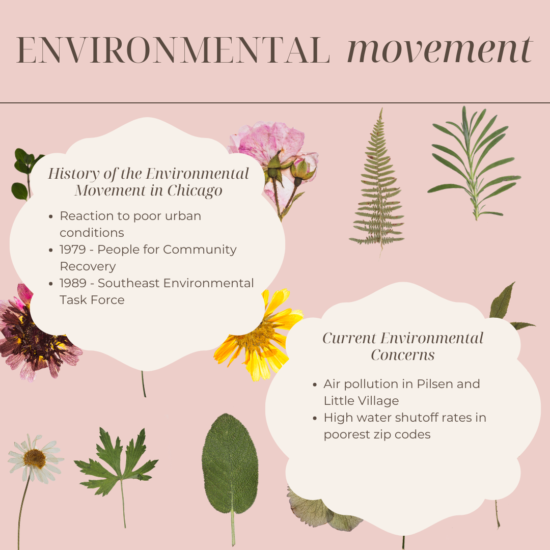 Infographic of history of environmental movement in Chicago