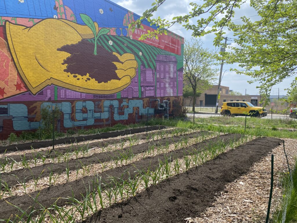 An image of the collective garden. In the collective garden there are five rows of soil with plants growing up from each row. Behind the garden is a large mural of a hand holding a growing plant and soil in its palm.