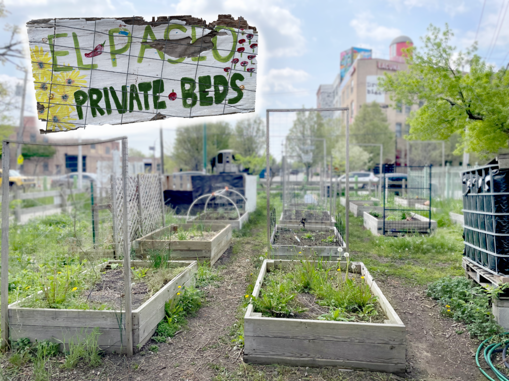 A picture of the private beds section of the garden. Within are twelve raised bed planting areas. Each has varying levels of greenery growing within. In the top left corner of the picture is a hand painted sign that says “El Paseo Private Beds.”