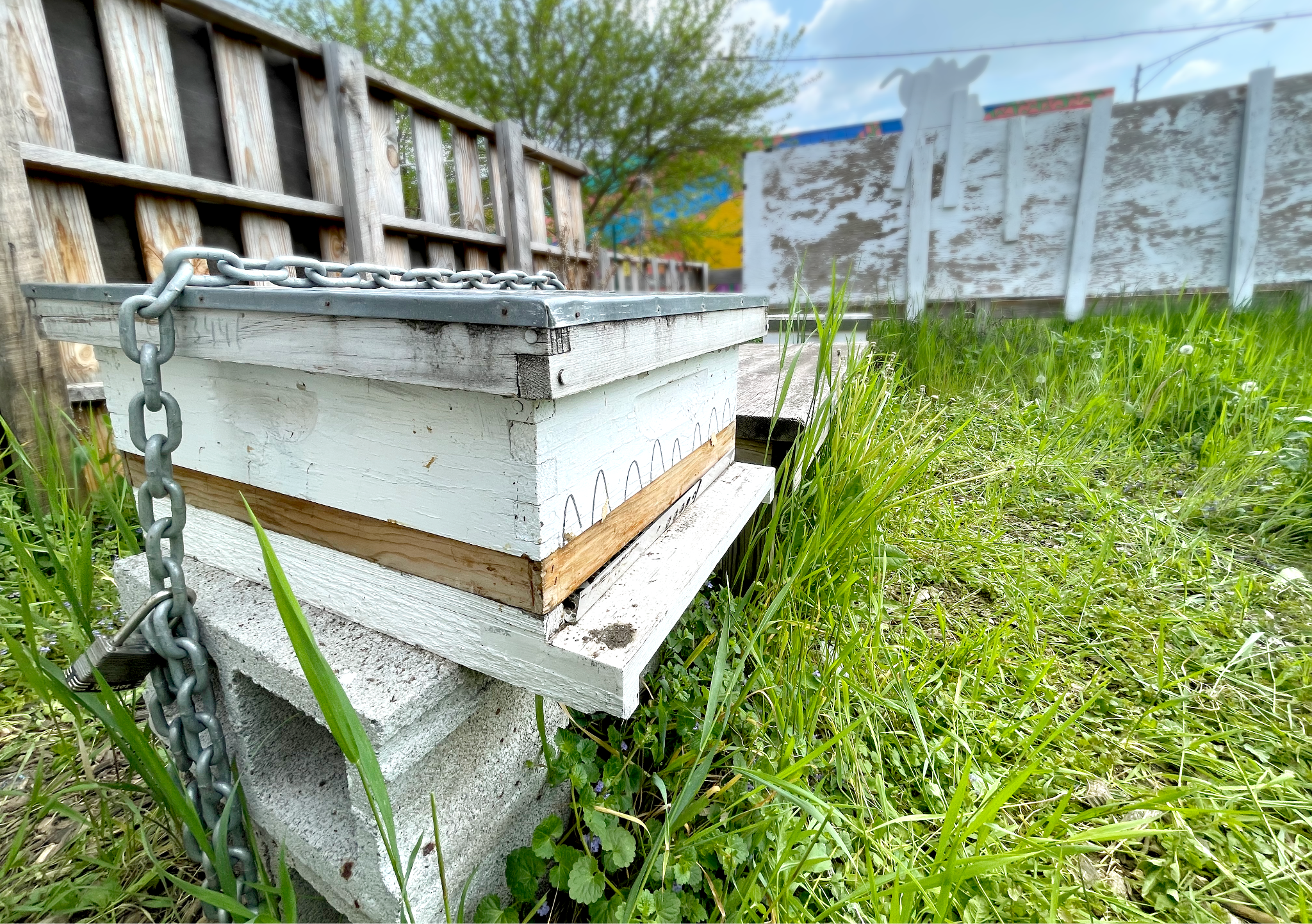 A picture of the beekeeping section with a small bee box close to the camera.