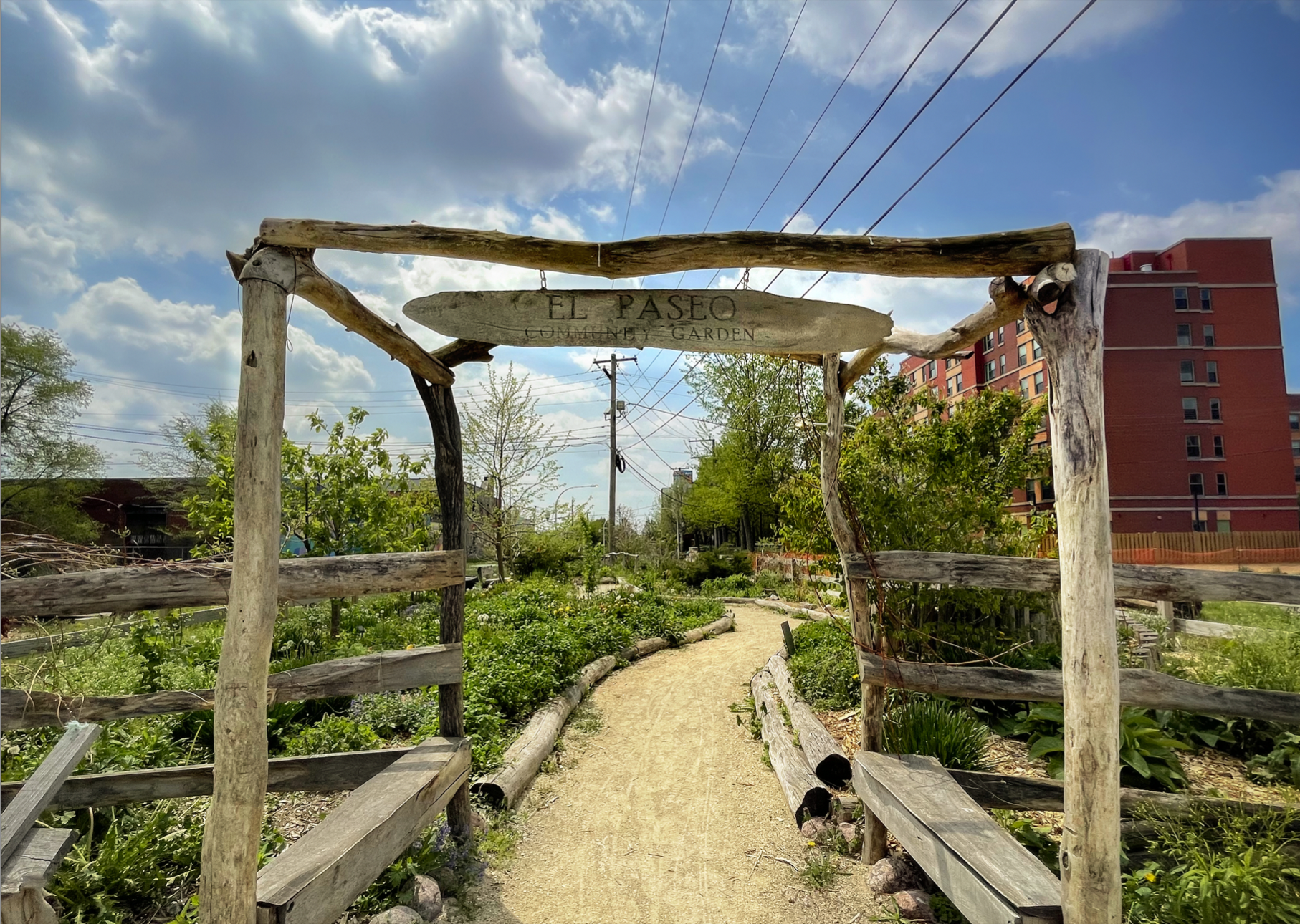 El Paseo Community Garden