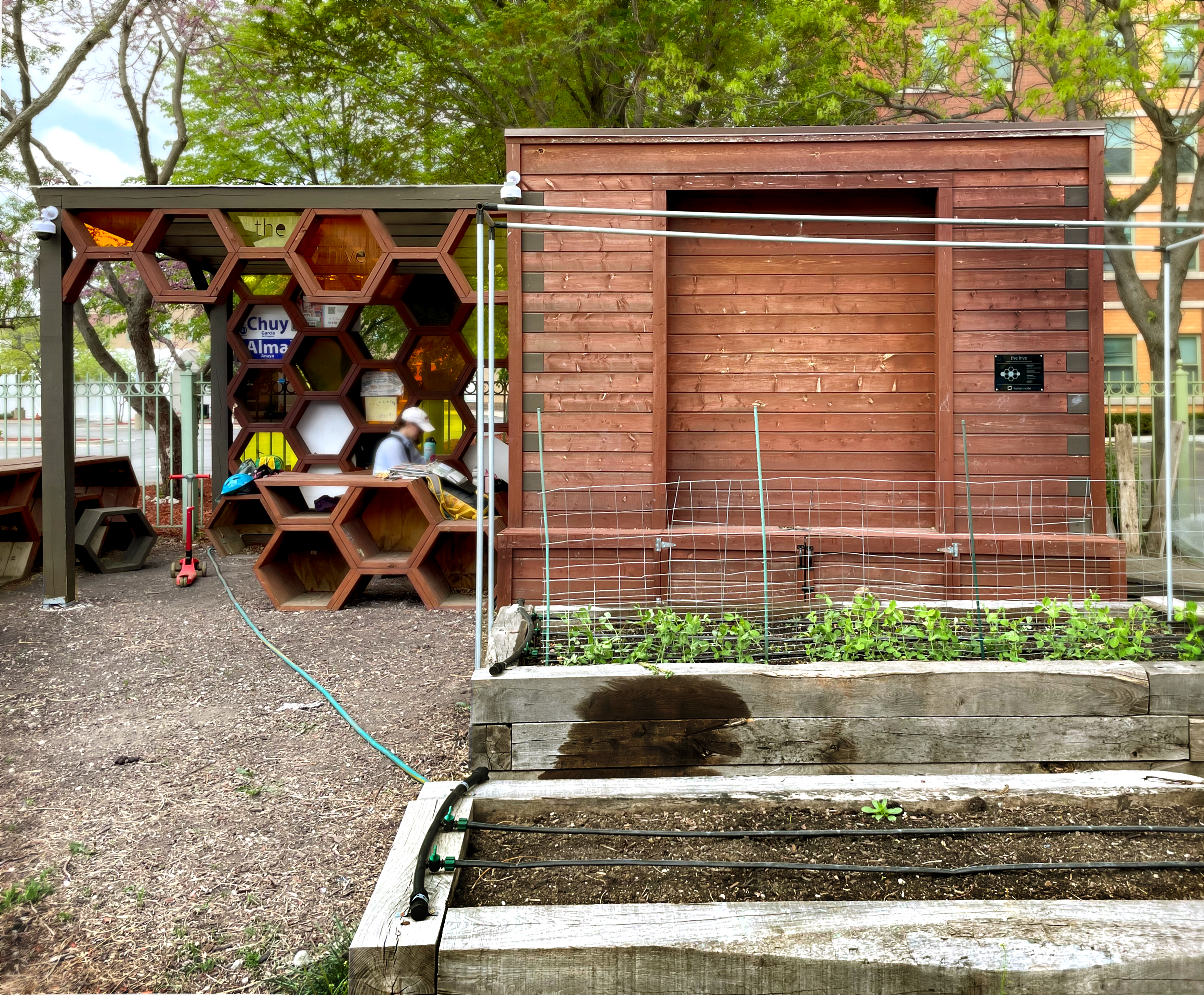 A picture of the classroom known as “The Hive.” on the left side of the classroom building is a honeycomb patterned divider. The building itself on the right is a small wooden enclosed structure.